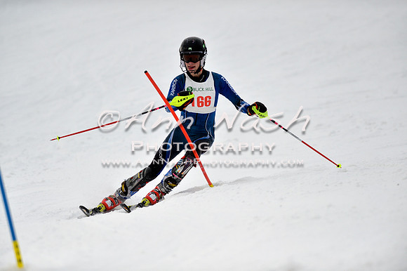 alpine_2015-01-22_12-36-53_DSC_2038_©AnnNashPhotographyLLC_2015