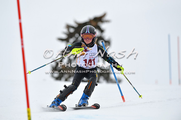 alpine_2015-02-14_13-08-45_DSC_8003_©AnnNashPhotographyLLC_2015