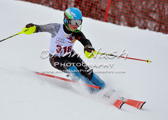 alpine_2015-02-14_13-45-38_DSC_8727_©AnnNashPhotographyLLC_2015