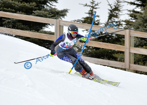 alpine_2015-01-22_11-47-42_DSC_0544_©AnnNashPhotographyLLC_2015
