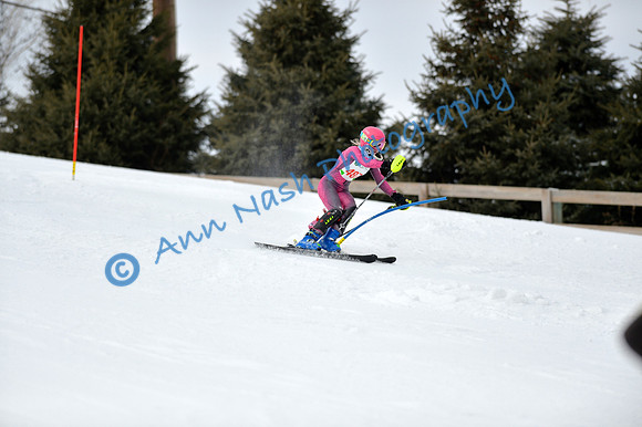 alpine_2015-01-22_12-48-06_DSC_2330_©AnnNashPhotographyLLC_2015
