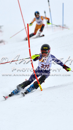 alpine_2015-02-14_10-59-10_DSC_6634_©AnnNashPhotographyLLC_2015