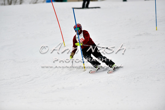 alpine_2015-01-22_12-30-43_DSC_1890_©AnnNashPhotographyLLC_2015