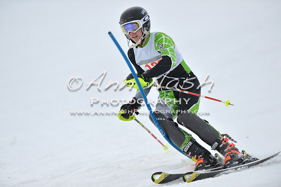 alpine_2015-01-22_11-56-19_DSC_0863_©AnnNashPhotographyLLC_2015