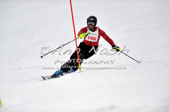 alpine_2015-01-22_12-37-45_DSC_2067_©AnnNashPhotographyLLC_2015