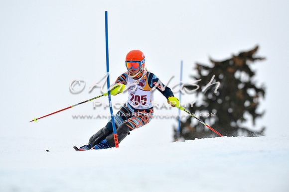 alpine_2015-02-14_13-31-47_DSC_8376_©AnnNashPhotographyLLC_2015