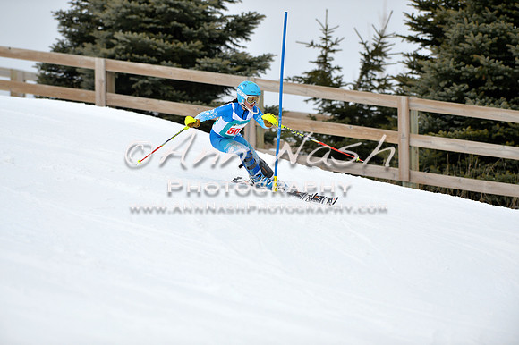 alpine_2015-01-22_11-35-43_DSC_0087_©AnnNashPhotographyLLC_2015