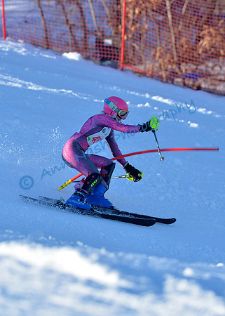 alpine_2015-01-22_16-09-48_DSC_5426_©AnnNashPhotographyLLC_2015