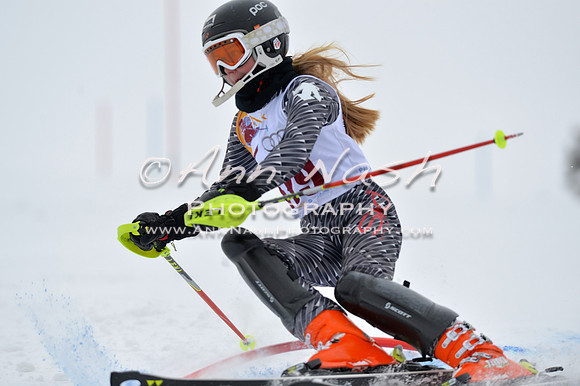 alpine_2015-02-14_13-04-14_DSC_7881_©AnnNashPhotographyLLC_2015
