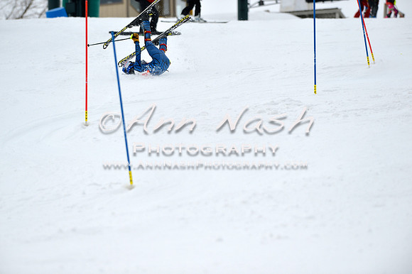 alpine_2015-01-22_12-01-26_DSC_1006_©AnnNashPhotographyLLC_2015