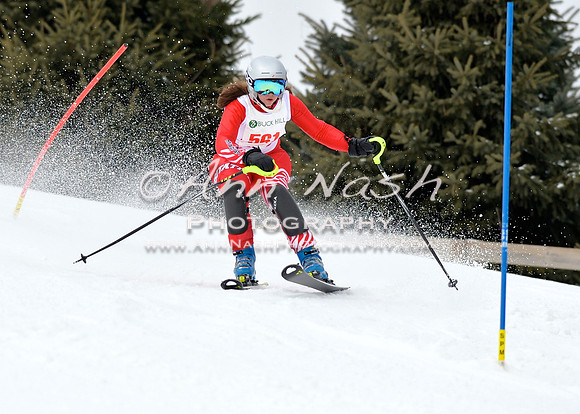 alpine_2015-01-22_11-39-57_DSC_0220_©AnnNashPhotographyLLC_2015