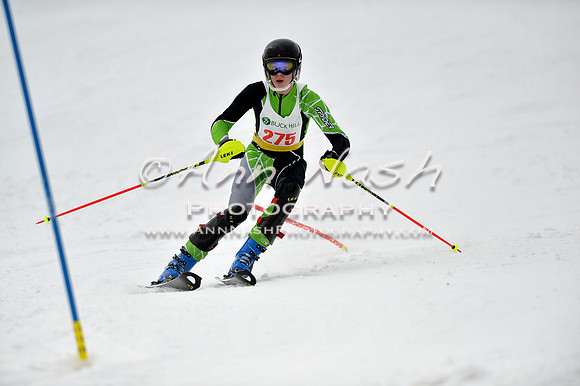 alpine_2015-01-22_12-28-54_DSC_1851_©AnnNashPhotographyLLC_2015