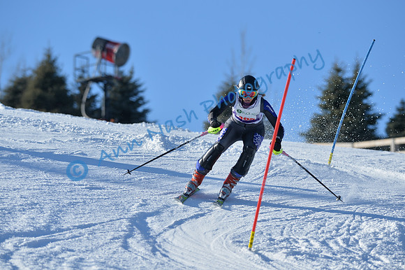 alpine_2015-01-22_14-56-20_DSC_3707_©AnnNashPhotographyLLC_2015