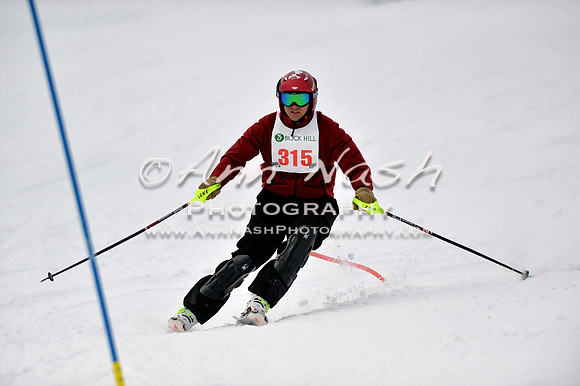 alpine_2015-01-22_12-30-44_DSC_1893_©AnnNashPhotographyLLC_2015
