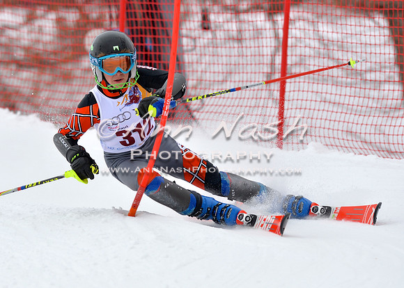 alpine_2015-02-14_13-23-36_DSC_8256_©AnnNashPhotographyLLC_2015