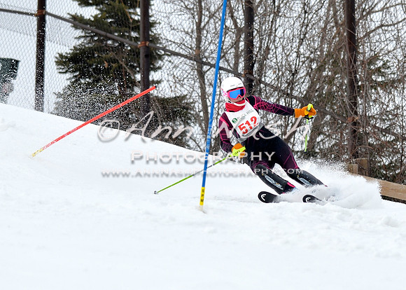 alpine_2015-01-22_11-49-04_DSC_0616_©AnnNashPhotographyLLC_2015