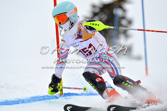 alpine_2015-02-14_13-09-13_DSC_8015_©AnnNashPhotographyLLC_2015