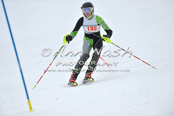alpine_2015-01-22_11-56-18_DSC_0859_©AnnNashPhotographyLLC_2015