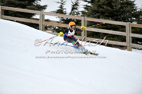 alpine_2015-01-22_11-50-13_DSC_0649_©AnnNashPhotographyLLC_2015