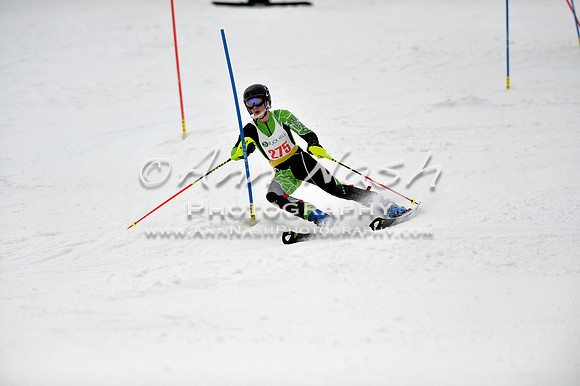 alpine_2015-01-22_12-28-53_DSC_1847_©AnnNashPhotographyLLC_2015