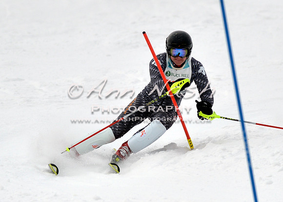 alpine_2015-01-22_12-43-19_DSC_2185_©AnnNashPhotographyLLC_2015