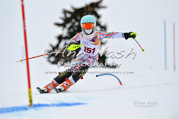 alpine_2015-02-14_13-09-13_DSC_8012_©AnnNashPhotographyLLC_2015