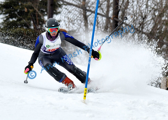 alpine_2015-01-22_11-47-37_DSC_0528_©AnnNashPhotographyLLC_2015