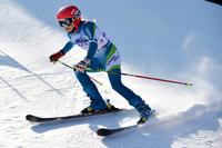 alpine-Jan-27-2018-DSC_8227-©ANP