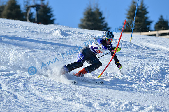 alpine_2015-01-22_14-56-20_DSC_3711_©AnnNashPhotographyLLC_2015