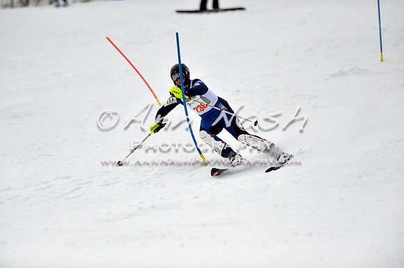 alpine_2015-01-22_12-40-45_DSC_2131_©AnnNashPhotographyLLC_2015