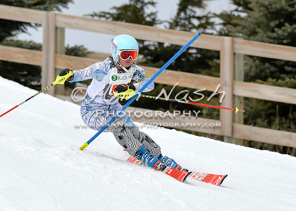 alpine_2015-01-22_11-42-05_DSC_0324_©AnnNashPhotographyLLC_2015