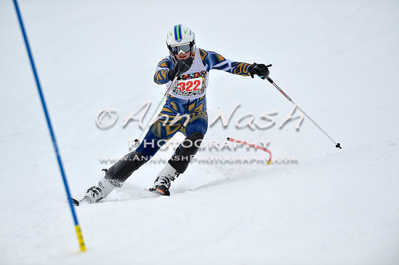 alpine_2015-01-22_11-54-07_DSC_0777_©AnnNashPhotographyLLC_2015