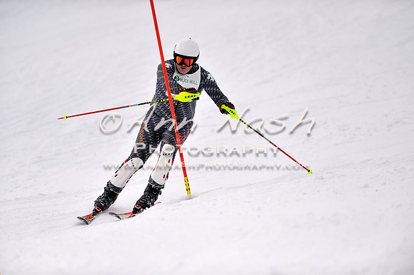alpine_2015-01-22_12-41-55_DSC_2146_©AnnNashPhotographyLLC_2015