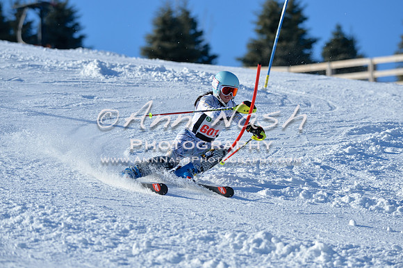 alpine_2015-01-22_14-41-17_DSC_2993_©AnnNashPhotographyLLC_2015