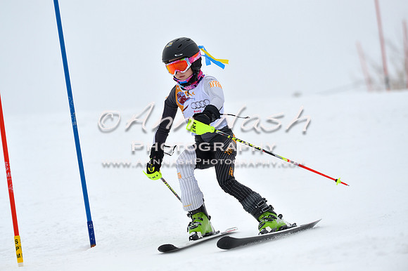 alpine_2015-02-14_13-24-37_DSC_8281_©AnnNashPhotographyLLC_2015