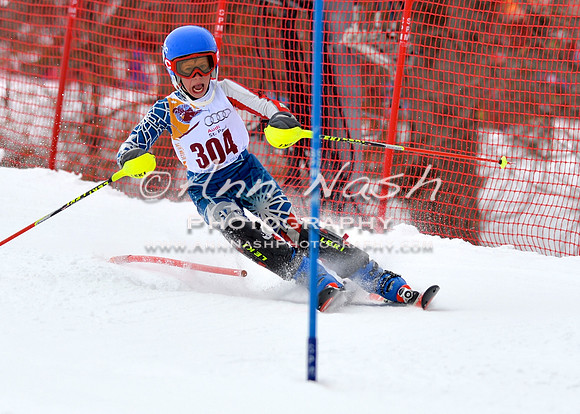 alpine_2015-02-14_13-16-42_DSC_8150_©AnnNashPhotographyLLC_2015