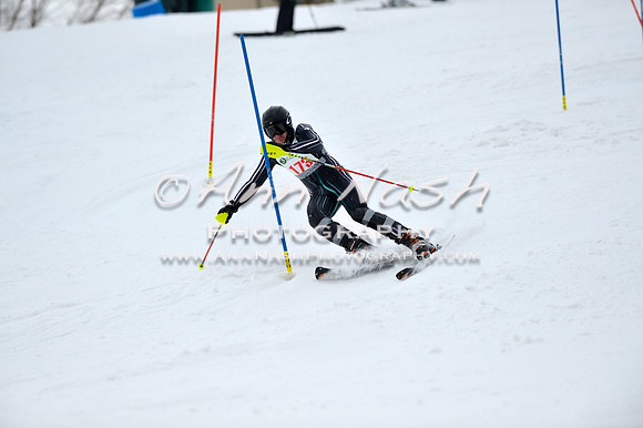 alpine_2015-01-22_11-59-10_DSC_0919_©AnnNashPhotographyLLC_2015