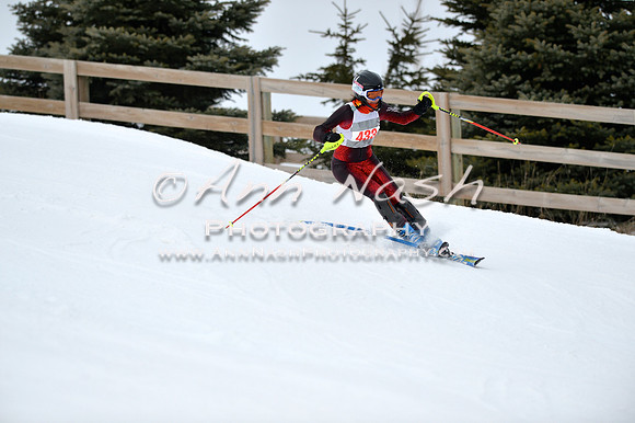 alpine_2015-01-22_11-55-44_DSC_0835_©AnnNashPhotographyLLC_2015