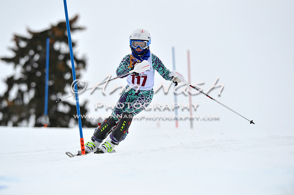 alpine_2015-02-14_13-12-29_DSC_8069_©AnnNashPhotographyLLC_2015