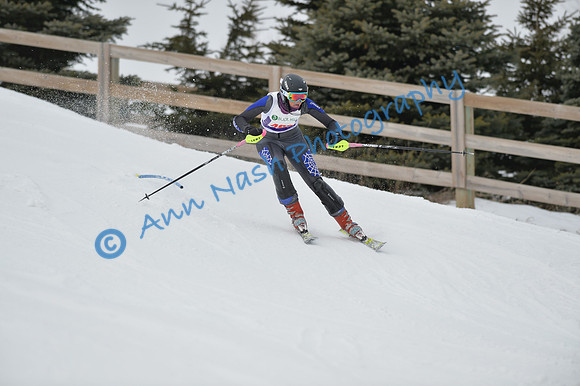 alpine_2015-01-22_11-47-43_DSC_0547_©AnnNashPhotographyLLC_2015