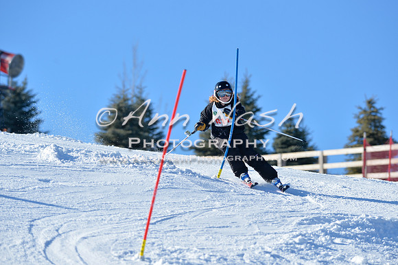 alpine_2015-01-22_14-40-48_DSC_2984_©AnnNashPhotographyLLC_2015