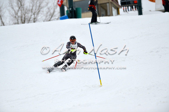 alpine_2015-01-22_11-50-56_DSC_0680_©AnnNashPhotographyLLC_2015