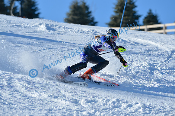 alpine_2015-01-22_14-56-20_DSC_3712_©AnnNashPhotographyLLC_2015