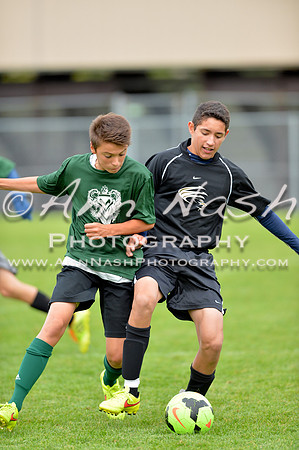 soccer_2014-09-09_17-19-03_DSC_9861_©AnnNashPhotographyLLC_2014