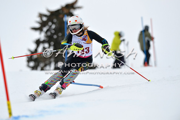 alpine_2015-02-14_13-05-28_DSC_7909_©AnnNashPhotographyLLC_2015