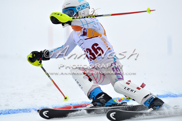 alpine_2015-02-14_13-13-05_DSC_8087_©AnnNashPhotographyLLC_2015
