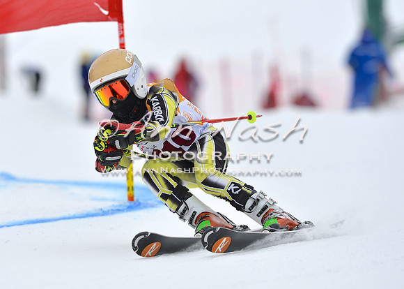 alpine_2015-02-14_15-50-08_DSC_1231_©AnnNashPhotographyLLC_2015