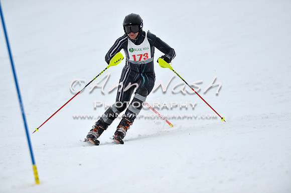 alpine_2015-01-22_11-59-11_DSC_0924_©AnnNashPhotographyLLC_2015