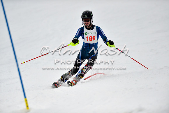 alpine_2015-01-22_12-36-53_DSC_2039_©AnnNashPhotographyLLC_2015