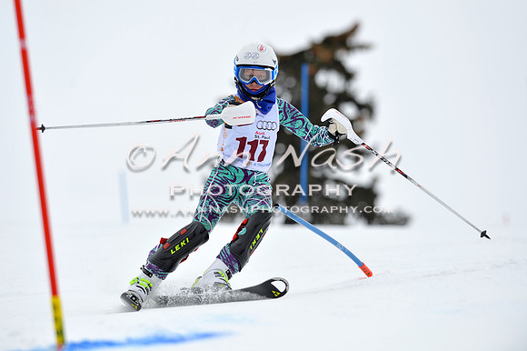 alpine_2015-02-14_13-12-29_DSC_8074_©AnnNashPhotographyLLC_2015